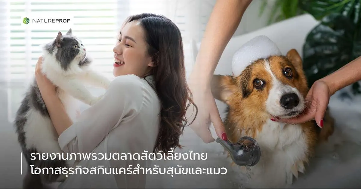 รายงานภาพรวมตลาดสัตว์เลี้ยงไทย โอกาสธุรกิจสกินแคร์สำหรับสุนัขและแมว