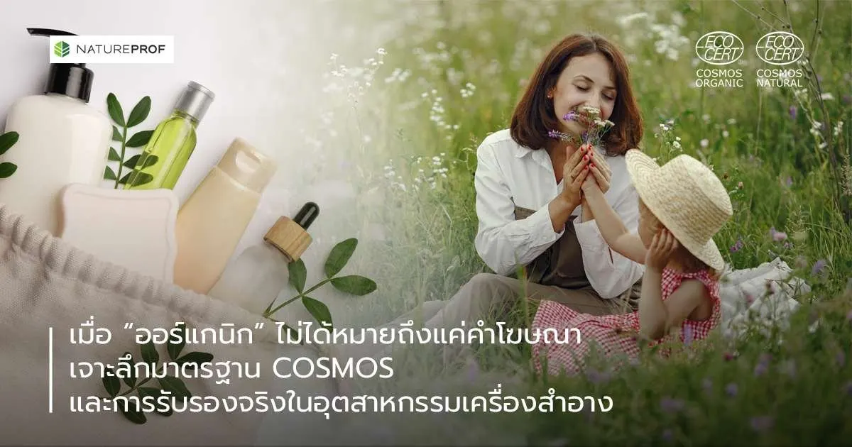 เมื่อ "ออร์แกนิก" ไม่ได้หมายถึงแค่คำโฆษณา เจาะลึกมาตรฐาน COSMOS และการรับรองจริงในอุตสาหกรรมเครื่องสำอาง