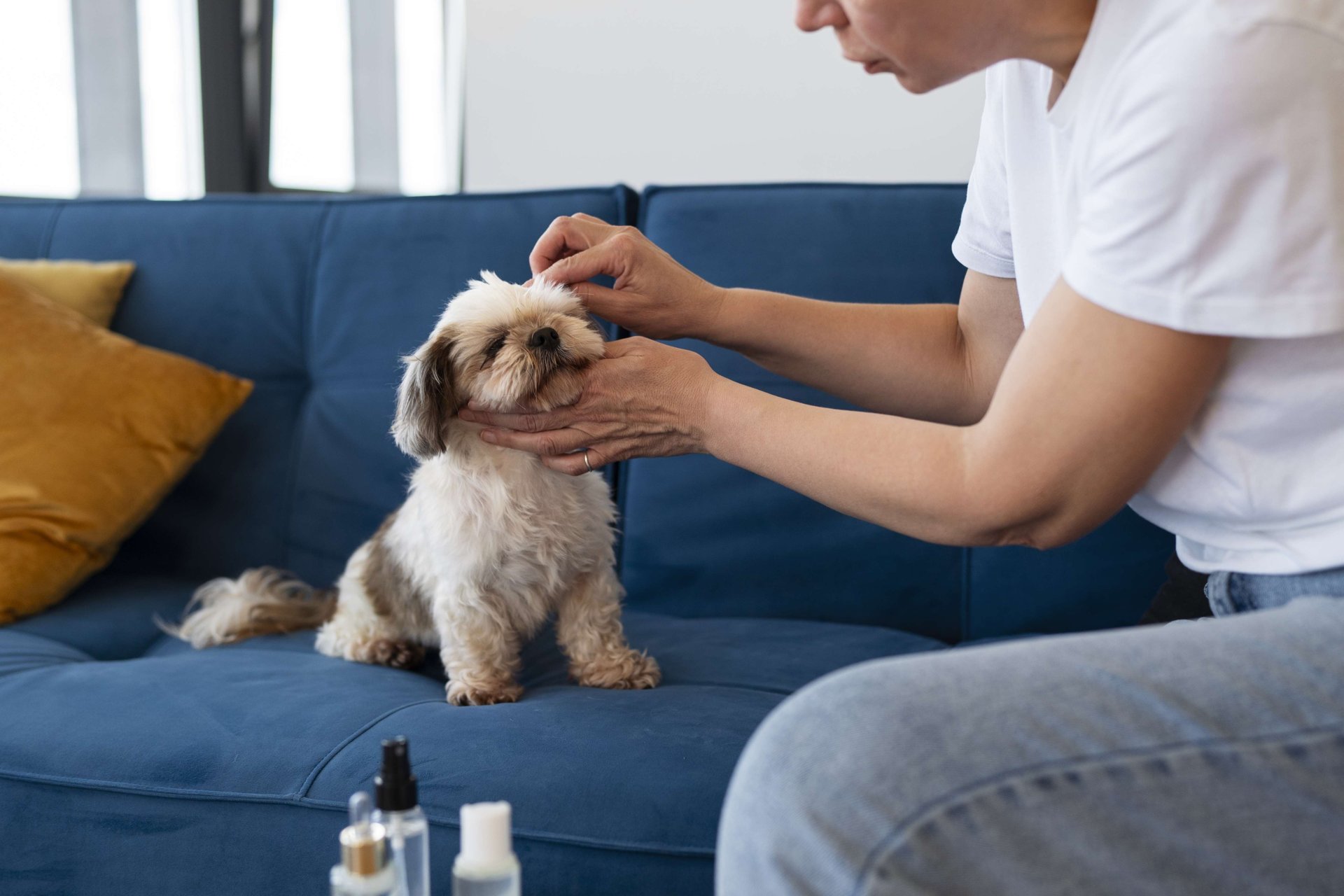 ตลาดสกินแคร์สัตว์เลี้ยง — เซ็กเมนต์ดาวรุ่งของ Pet Economy