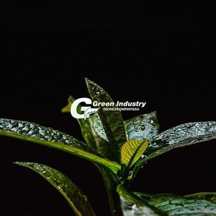 Green Industry Standard