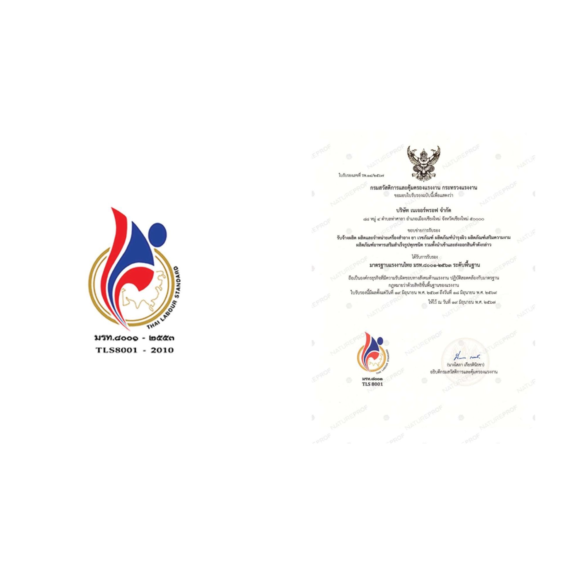 Thai Labour Standard