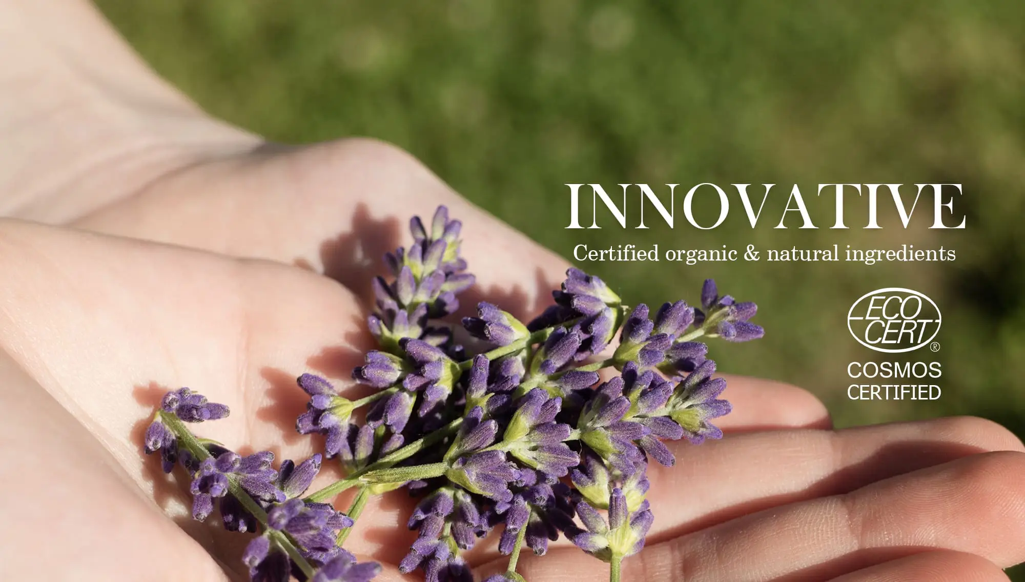 ผลิตภัณฑ์เพื่อแบรนด์ของคุณ