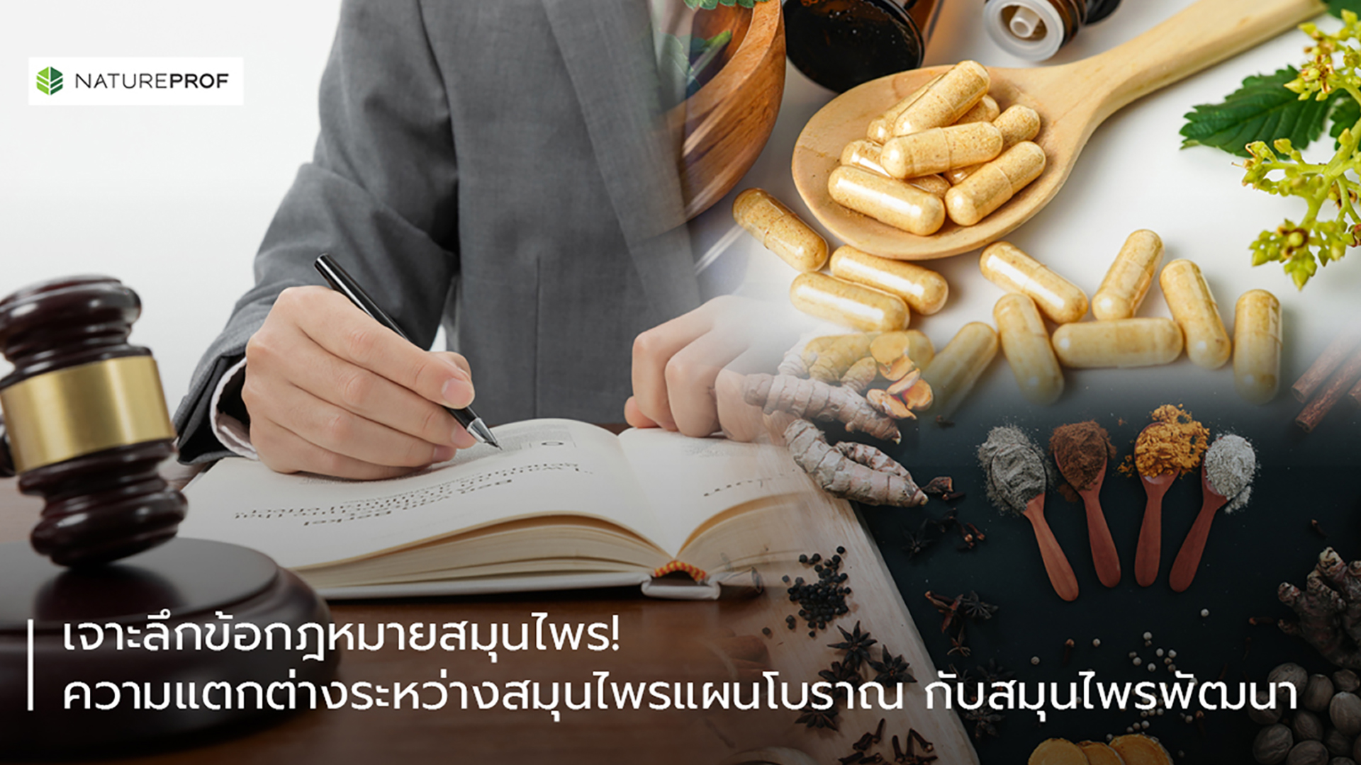 เจาะลึกข้อกฎหมายสมุนไพร ความแตกต่างระหว่างสมุนไพรแผนโบราณกับสมุนไพรพัฒนา